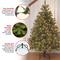 4.5 ft. Pre-lit Feel Real® Downswept Douglas Full Artificial Christmas Tree, Clear Lights